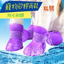 附發票！【寵愛生活本舖】-9號~11號賣場-寵物中筒拉鍊式縮口休閒犬鞋 不掉 狗鞋 大狗鞋 小狗鞋 寵物鞋 歷史價格詳細信息