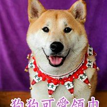 聖誕節寵物圍脖可愛狗狗項圈圍巾冬季保暖飾品節日拍照裝飾小道具 歷史價格詳細信息