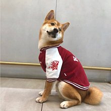 【台灣賣家】 狗涼鞋 寵物涼鞋 狗狗涼鞋 狗狗透氣鞋 外出寵物鞋 狗鞋子 防滑涼鞋 貴賓 臘腸 比熊 博美 西施 狗鞋子 歷史價格詳細信息