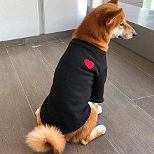 愛瑞家全陶瓷紫砂內膽電飯鍋3升0塗層家用無塗層電飯鍋2一3人砂鍋 歷史價格詳細信息