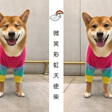 西班牙瑞比RUBI鋁合金加厚瓷磚玻璃吸盤強力吸提器貼地板搬運安裝 歷史價格詳細信息