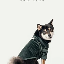 簡約時尚【美國PEHOM】可調節式雨衣⭐李佑群聯名款(XS~XL) 尼龍材質 雨天 狗衣服 狗雨衣 寵物衣服 寵物雨衣 歷史價格詳細信息