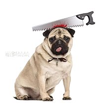 狗狗貓咪聖誕節 珊瑚絨衣服 寵物聖誕節 節日派對衣服 寵物服飾 寵物狗衣服 貓狗保暖衣 貓咪衣服 寵物秋冬衣 狗衣服 歷史價格詳細信息