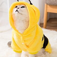 現貨熱銷-可以裝貓的衛衣養貓用品寵物出行神器擼貓服抱貓狗狗攜帶衣服網紅真真啊 歷史價格詳細信息