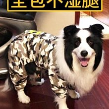 狗狗雨衣 全包 金毛 中大型犬 小狗雨披 四腳連身 防水雨衣 寵物用品 歷史價格詳細信息