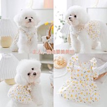 狗衣服 小型犬狗狗兩腳衣打底衫春秋薄款防掉毛超夯 精品 歷史價格詳細信息