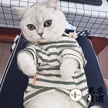 可愛網紅小夜燈不插電少女心臺燈創意鴨子擺件臥室床頭燈生日禮物 歷史價格詳細信息