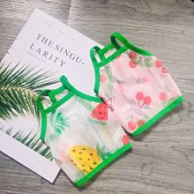 下殺 寵物防丟刻字項圈尼龍織帶回家身份牌頸圈牽引繩小狗貓咪鈴鐺項鏈 歷史價格詳細信息