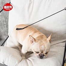 下殺-寵物訓練器 美國響片訓犬用品進口AM工作犬訓練寵物泰迪德牧馬犬狗比利時訓犬器 CSKJ32897 歷史價格詳細信息