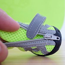 寵物鞋子狗狗鞋子牛仔帆布鞋板鞋防滑貴賓金毛柴犬鞋子 歷史價格詳細信息