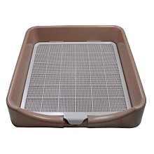 下殺-泰極祥橄欖核雕刻單籽觀音純手工手把件鐵核大籽 歷史價格詳細信息