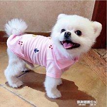 狗狗衣服夏季春秋薄款小型犬泰迪比熊純棉網紅夏天背心寵物潮牌 歷史價格詳細信息