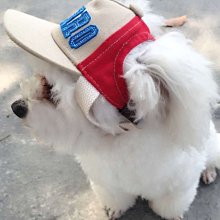 鴨舌帽#夏天防曬必買#草帽#海邊渡假#空頂帽子#空頂帽#遮陽帽#女生帽子#沙灘帽#遮陽#編織#造型帽#網美拍照款 歷史價格詳細信息