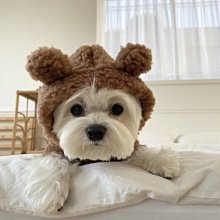 下殺-寵物衣服狗衣服秋冬衣服新款小狗泰迪狗寵物衣服彩色牛仔衣服 歷史價格詳細信息