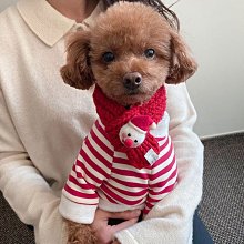 下雪耶誕樹耶誕節禮物紅色耳環可愛少女心節日感耳針耳夾耳飾 歷史價格詳細信息