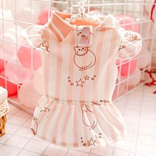 下殺 寵物貓咪碗雙碗蝶貓碗泰迪狗狗碗食盆防濺防漏貓雙碗 歷史價格詳細信息