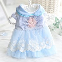 寵物公主裙子牛仔小狗狗牽引繩背心式胸背帶網紅狗狗衣服繩子狗繩遛狗牽引繩 歷史價格詳細信息