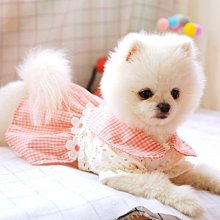 下殺-寵物裙子 日系春夏新款紅色小碎花娃娃裙子 寵物狗狗衣服 歷史價格詳細信息