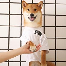 夏季可愛卡通半透防水果凍包 沙灘包 歷史價格詳細信息