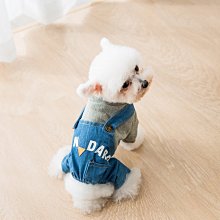 下殺 牛皮狗項圈刻字防丟失中大型犬真皮金毛拉布拉多狗脖套頸圈脖圈 歷史價格詳細信息