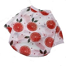 寵物款狗狗彈力牽引繩 大型犬寵物牽引帶胸背帶尼龍狗繩牽引繩 歷史價格詳細信息