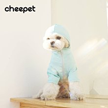 下殺 寵物防丟刻字項圈尼龍織帶回家身份牌頸圈牽引繩小狗貓咪鈴鐺項鏈 歷史價格詳細信息