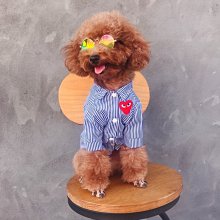 下殺 雪屋貓砂盆全封閉式超大號特大防外濺抽屜除臭貓咪廁所幼貓沙盆子 歷史價格詳細信息