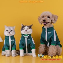 下殺 寵物貓咪碗雙碗蝶貓碗泰迪狗狗碗食盆防濺防漏貓雙碗 歷史價格詳細信息