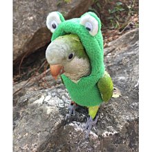 下殺-抖音多功能鍵盤刷灰除塵刷機械鍵盤專用筆記本清灰毛刷耳機清潔筆 歷史價格詳細信息