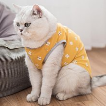 寵物衣服－超人Superman－厚棉質－狗狗貓咪配件－全面特價中〈買三件以上送寵物紓壓玩偶玩具乙支〉 歷史價格詳細信息