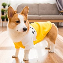 全新【運動冬出清】德國頂級品牌ESCADA SPORT（Made in Bulgaria保加利亞製）暗芥末綠高領長袖T恤衫/休閒運動，歐碼XS彈性佳stella 歷史價格詳細信息