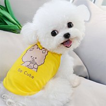 狗衣服 熊泡泡裙狗狗比熊泰迪貓咪夏季裙子衣服超夯 精品 歷史價格詳細信息