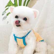 狗衣服 泰迪狗狗衣服春秋冬裝睡衣居家服打底衫超夯 精品 歷史價格詳細信息