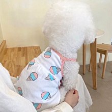 【約克精品】夏日情懷施華洛元素晶鑽包銠金不鏽鋼針式耳環(SGS認證) 歷史價格詳細信息