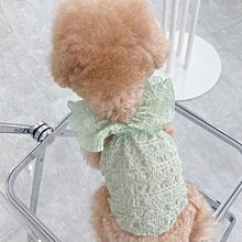 夏咪衣服薄款小貓幼貓防掉毛矮腳貓藍貓布偶背心夏季狗狗衣服 歷史價格詳細信息