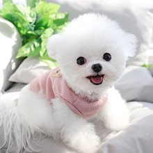 狗衣服 貓咪比熊貴賓雪納瑞美約克夏小狗狗衣服超夯 精品 歷史價格詳細信息