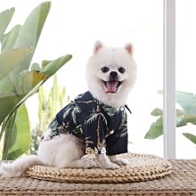 狗衣服 裙中小型貓犬服裝泰迪比熊法斗貓咪裙子超夯 精品 歷史價格詳細信息