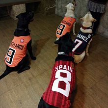 狗狗衣服薄款金毛拉布拉多柴犬夏天大狗背心防掉毛中型大型犬寵物【雅怡尚品】 歷史價格詳細信息