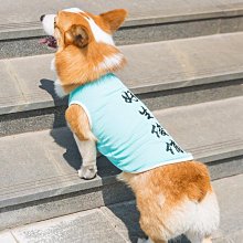 狗狗衣服冬裝中大型小型犬泰迪棉服博美加厚背心比熊金毛保暖馬甲超夯 精品 歷史價格詳細信息