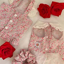 狗衣服 貓咪圍裙衣服防毛圍兜狗狗外出便攜貓包超夯 精品 歷史價格詳細信息