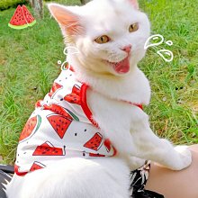 狗衣服 泰迪小狗比熊小型犬防掉毛比熊貓貓冬季超夯 精品 歷史價格詳細信息