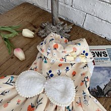 【約克精品】夏日情懷施華洛元素晶鑽包銠金不鏽鋼針式耳環(SGS認證) 歷史價格詳細信息