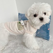 狗衣服 狗狗小型犬貓咪比熊泰迪貴賓雪納瑞美裙超夯 精品 歷史價格詳細信息