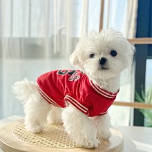 狗衣服 貓咪小型犬泰迪雪納瑞比熊美衣服薄款夏超夯 精品 歷史價格詳細信息
