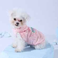 狗衣服 飛袖~貓咪衣服狗狗夏季薄款防掉毛背心超夯 精品 歷史價格詳細信息