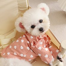 狗衣服 牛泰迪拉布拉多通用棉衣馬甲超夯 精品 歷史價格詳細信息