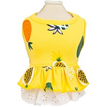 狗衣服 迪比熊犬打底衣服彩條紋薄款四腳家居服超夯 精品 歷史價格詳細信息