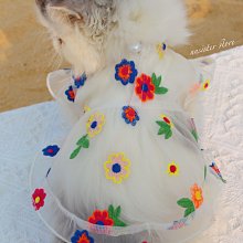 狗衣服 咪防臟泰迪比熊美幼犬小型秋冬薄款背心超夯 精品 歷史價格詳細信息