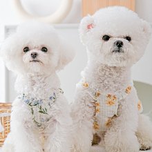 狗衣服 冬裝小型犬泰迪比熊美吉娃娃冬天絨棉衣超夯 精品 歷史價格詳細信息