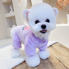 貓咪美妝蛋????雞蛋盒美妝蛋 化妝海棉 氣墊粉撲 斜切粉撲 海綿蛋 CY092 水滴粉撲 化妝海綿 彩妝海棉 海綿粉 歷史價格詳細信息